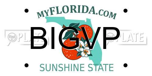 BIGVP Florida License Plate