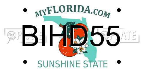 BIHD55 Florida License Plate