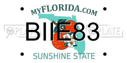 BIIE83 Florida License Plate