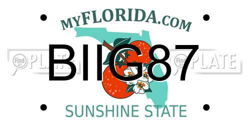 BIIG87 Florida License Plate