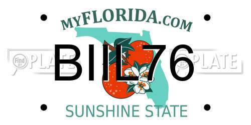 BIIL76 Florida License Plate