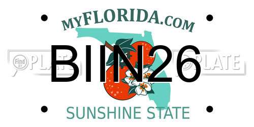 BIIN26 Florida License Plate