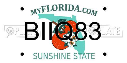 BIIQ83 Florida License Plate