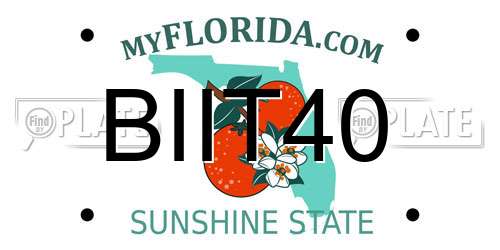 BIIT40 Florida License Plate