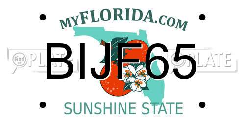 BIJF65 Florida License Plate