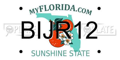BIJR12 Florida License Plate