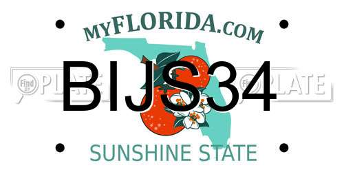 BIJS34 Florida License Plate