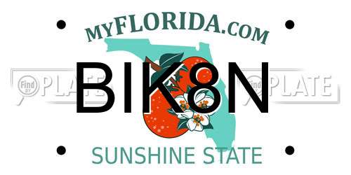 BIK8N Florida License Plate