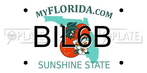 BIL6B Florida License Plate