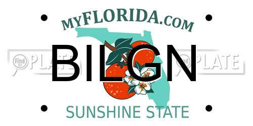 BILGN Florida License Plate