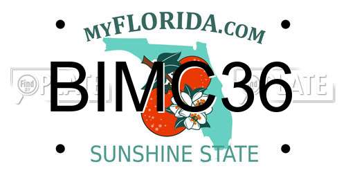 BIMC36 Florida License Plate