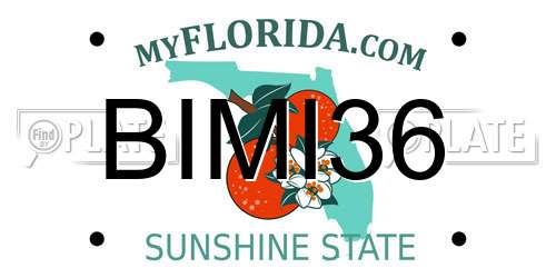 BIMI36 Florida License Plate