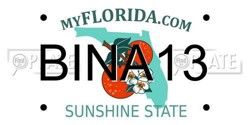 BINA13 Florida License Plate
