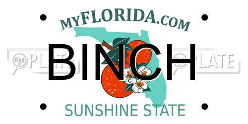 BINCH Florida License Plate
