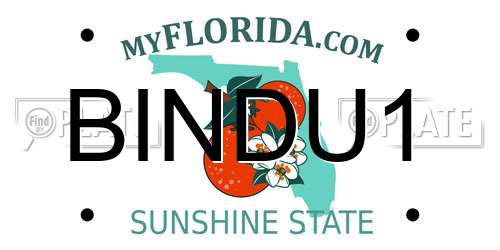 BINDU1 Florida License Plate