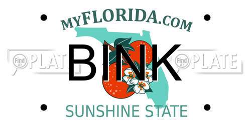 BINK Florida License Plate