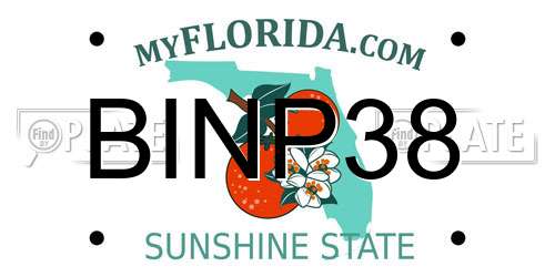BINP38 Florida License Plate