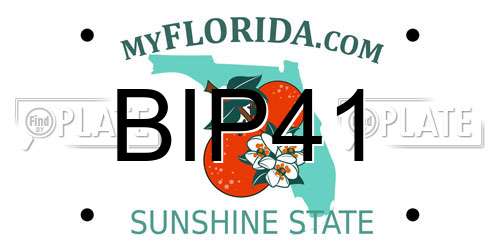 BIP41 Florida License Plate
