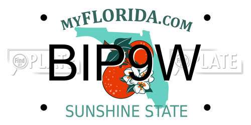 BIP9W Florida License Plate