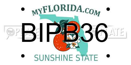 BIPB36 Florida License Plate