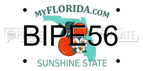 BIPE56 Florida License Plate