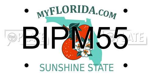 BIPM55 Florida License Plate