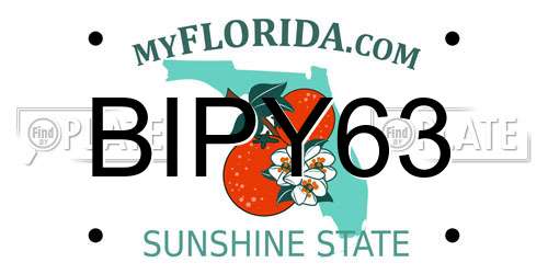 BIPY63 Florida License Plate