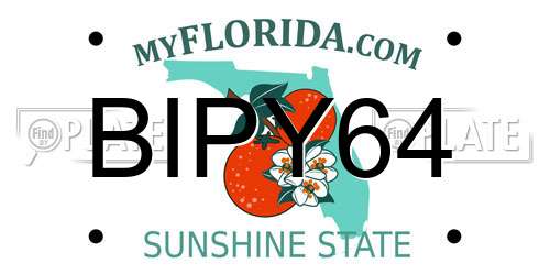 BIPY64 Florida License Plate