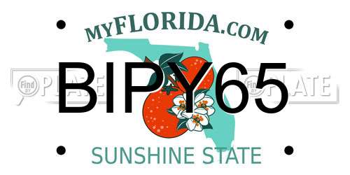 BIPY65 Florida License Plate