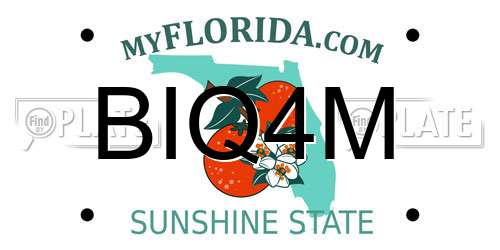 BIQ4M Florida License Plate