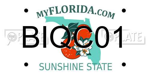 BIQC01 Florida License Plate