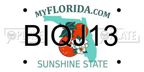 BIQJ13 Florida License Plate