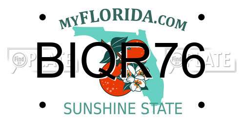 BIQR76 Florida License Plate