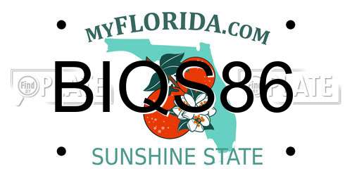 BIQS86 Florida License Plate