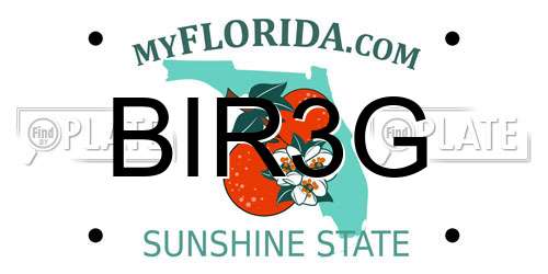 BIR3G Florida License Plate