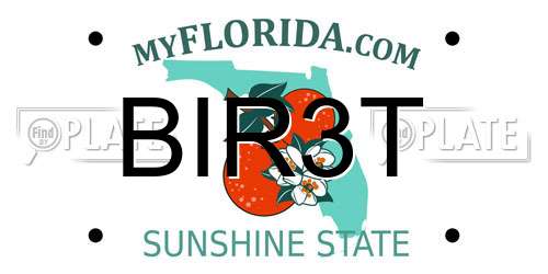 BIR3T Florida License Plate
