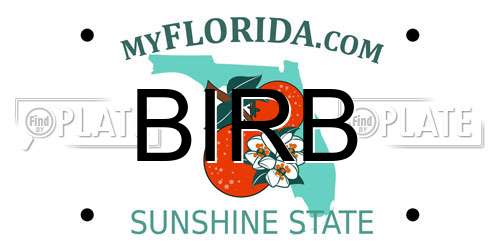 BIRB Florida License Plate