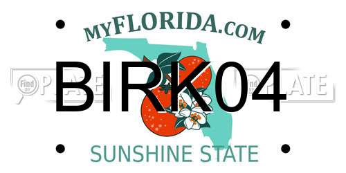 BIRK04 Florida License Plate