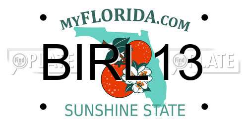 BIRL13 Florida License Plate