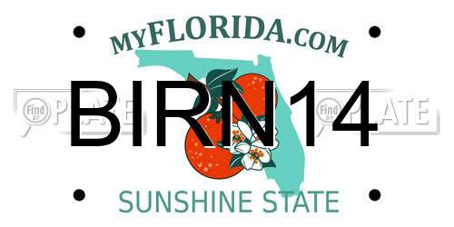 BIRN14 Florida License Plate