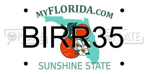 BIRR35 Florida License Plate