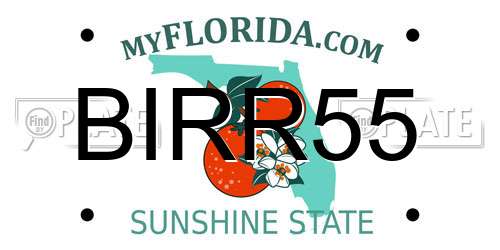 BIRR55 Florida License Plate