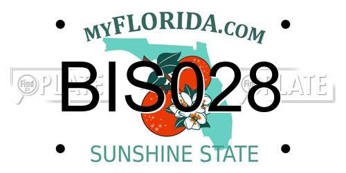 BIS028 Florida License Plate