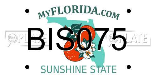 BIS075 Florida License Plate