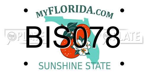 BIS078 Florida License Plate
