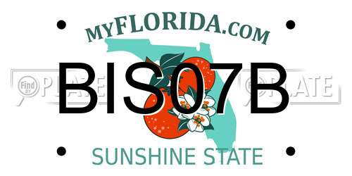 BIS07B Florida License Plate