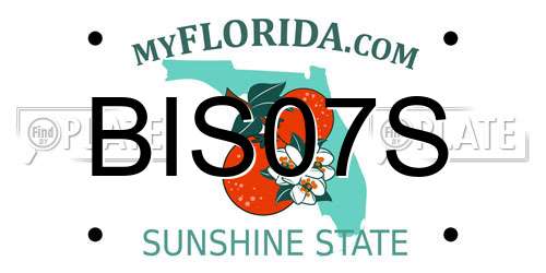 BIS07S Florida License Plate