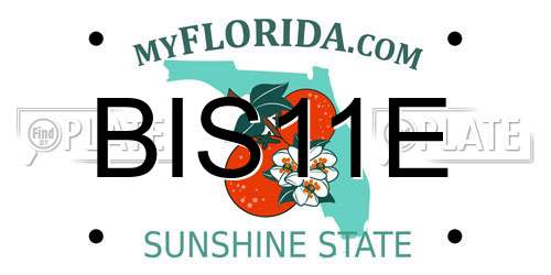 BIS11E Florida License Plate