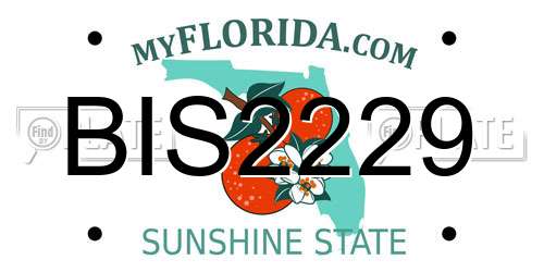BIS2229 Florida License Plate