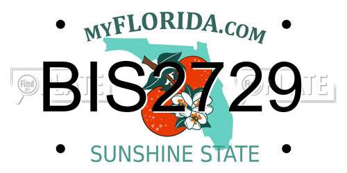 BIS2729 Florida License Plate